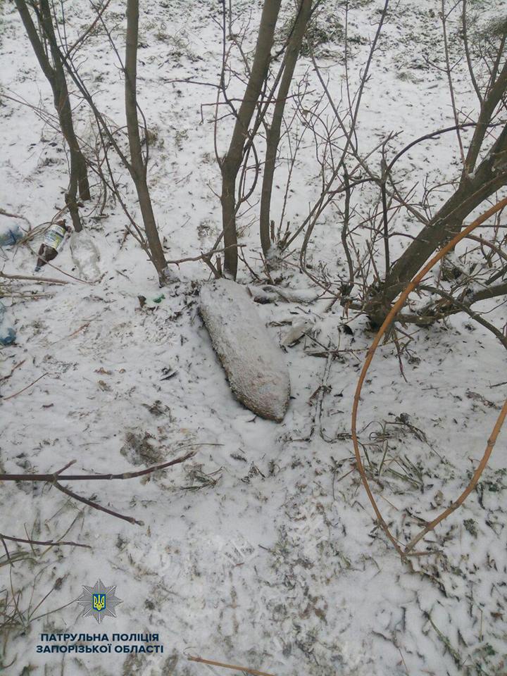 В Запорожской области мужчина на остановке наткнулся на мину (ФОТО)