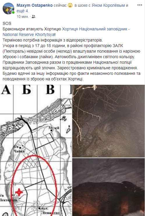 В Запорожье разыскивают браконьеров, стрелявших в кабанов на Хортице (ФОТО)