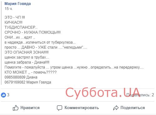 Житель Запорожской области лечился от туберкулеза, употребляя в пищу собачатину