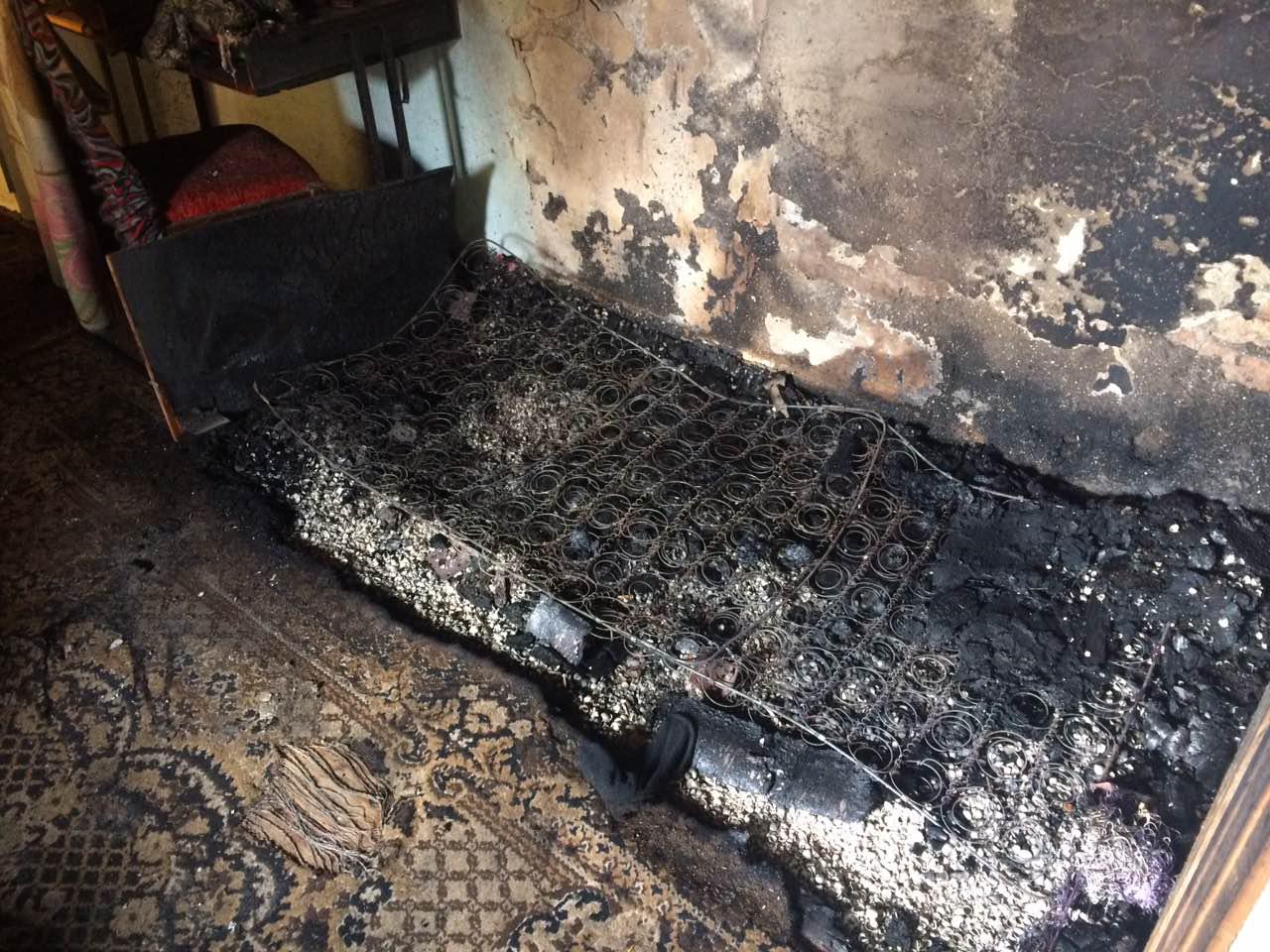 В Запорожской области на пожаре заживо сгорели отец и сын (ФОТО)