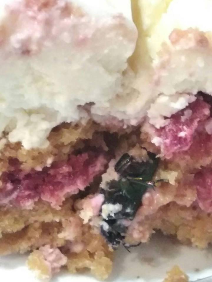 Запорожанке попалось в торте огромное насекомое (ФОТО)