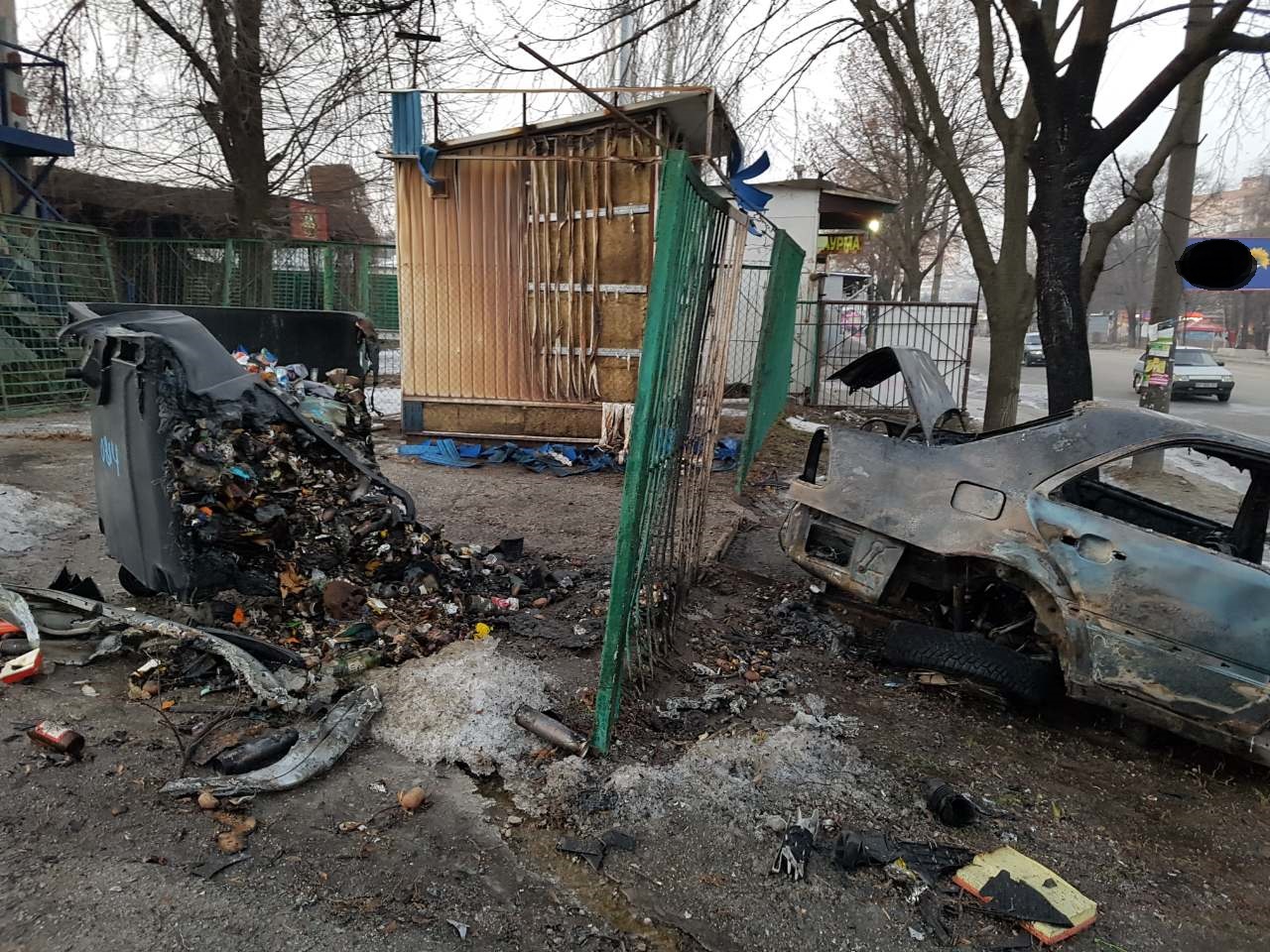 В Запорожье легковушка влетела в дерево и загорелась: пострадал пассажир (ФОТО)