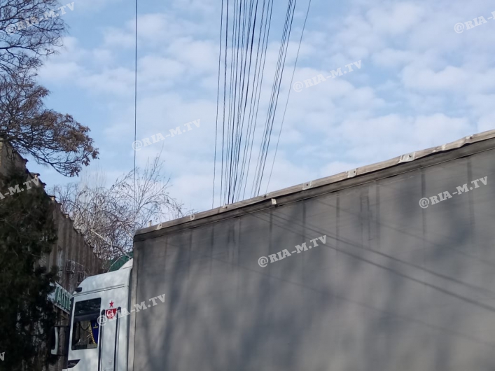 В Запорожской области грузовик врезался в дерево: водитель скрылся с места ДТП (ФОТО, ВИДЕО)