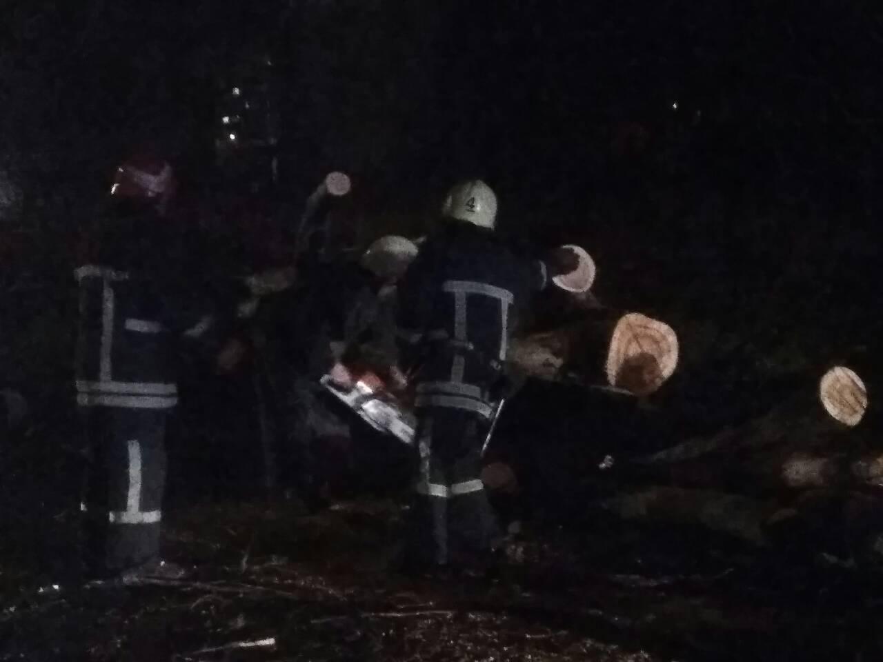 Непогода в Запорожской области: спасатели 5 раз выезжали на ликвидацию последствий ЧП (ФОТО)