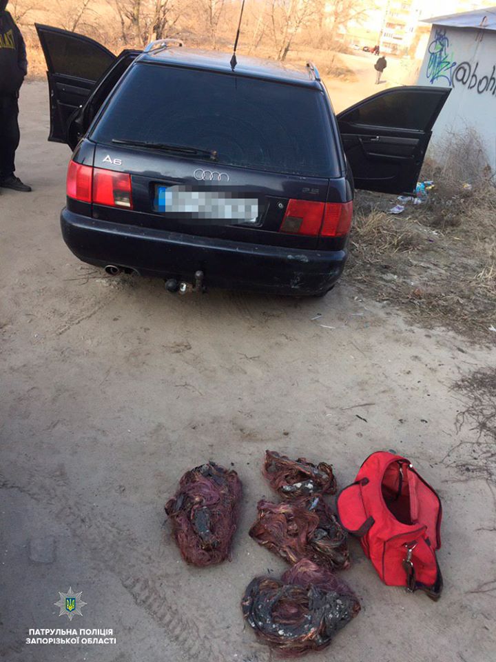В Запорожье патрульные задержали преступников на Audi (ФОТО)