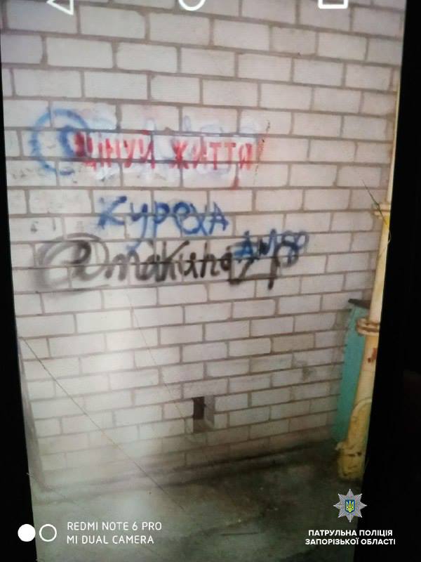 В Запорожье ночью задержали парня, который уродовал здания (ФОТО)