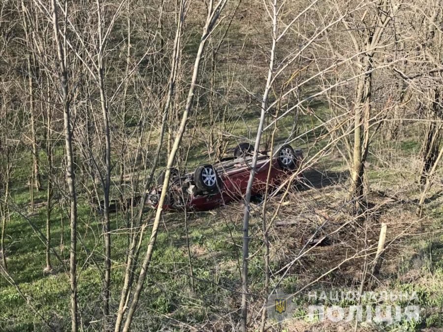 В Запорожской области легковушка слетела с дороги и скатилась со склона: есть пострадавшие (ФОТО)