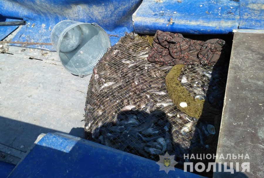 На берегу Азовского моря пограничники задержали серьезных нарушителей (ФОТО)