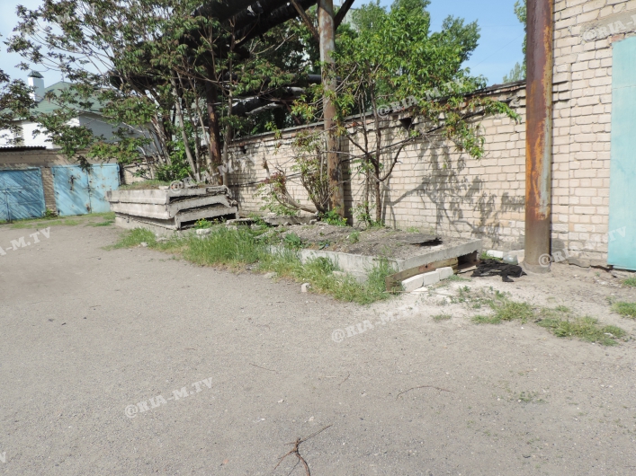 В Запорожской области в бетонной плите заживо замуровали щенков (ФОТО)