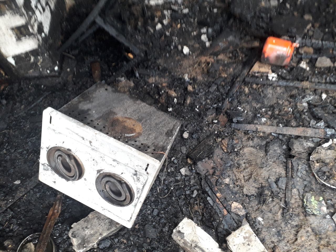 В Запорожской области заживо сгорела женщина (ФОТО)
