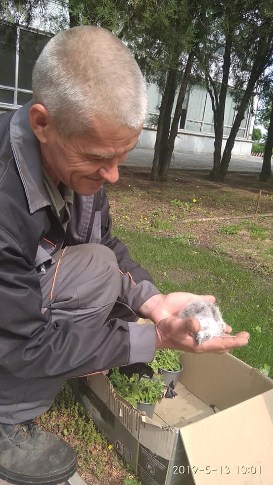 В Запорожской области обнаружили редкого птенца (ФОТО)