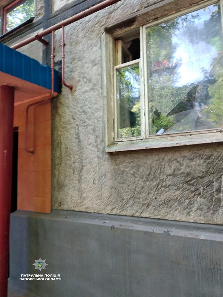 Житель Запорожья разгромил соседям квартиру и приставал к полицейским (ФОТО)