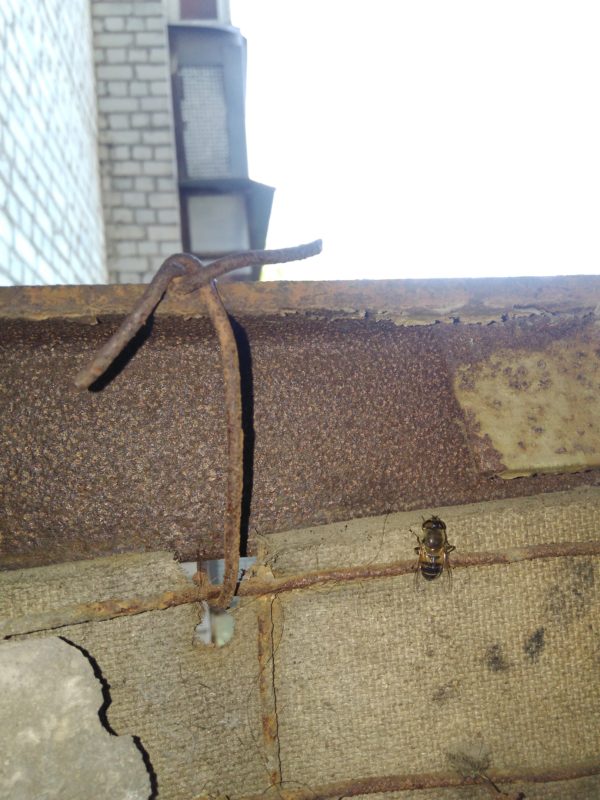 В Запорожье с высоты 14-го этажа упала бетонная плита с балкона (ФОТО)