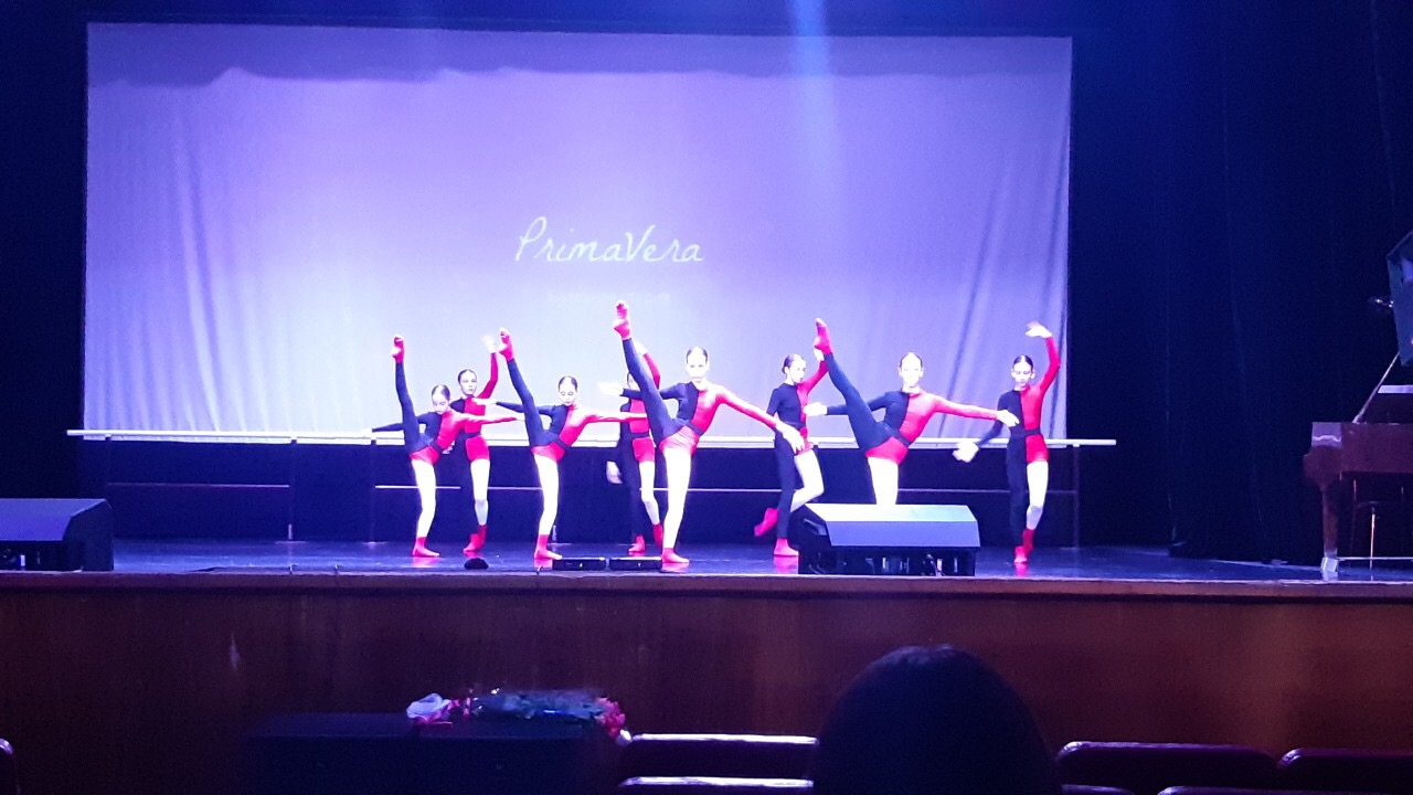 В Запорожье юные балерины показали своё мастерство (Фото, Видео)