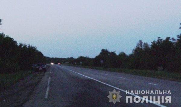 На трассе "Харьков-Симферополь" под колёсами авто погибла женщина: полиция разыскивает свидетелей (ФОТО)