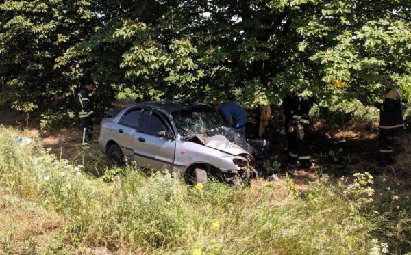 Водитель в Запорожской области оказался в ловушке внутри изувеченного авто (ФОТО)