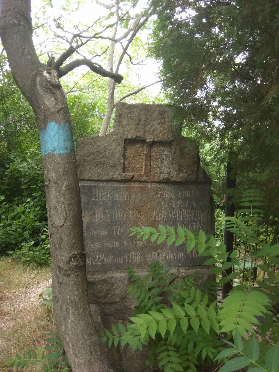 Прогулки по старому кладбищу: легендарная атмосфера городского некрополя в Бердянске (ФОТОРЕПОРТАЖ)
