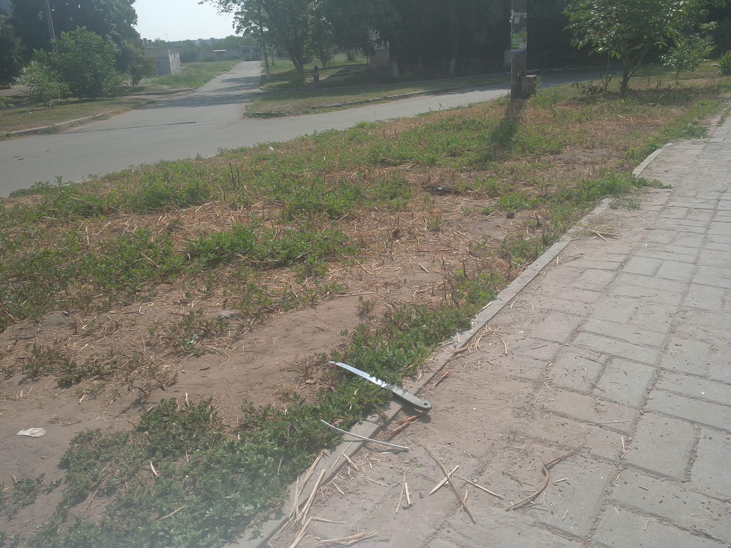 В Запорожье на тротуаре обнаружили жуткую находку (ФОТО)