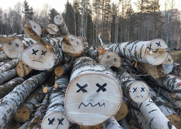 «Зачем сажают грустные деревья?»: запорожанка нашла в сети стихи Анатолия Пустоварова (ФОТО)