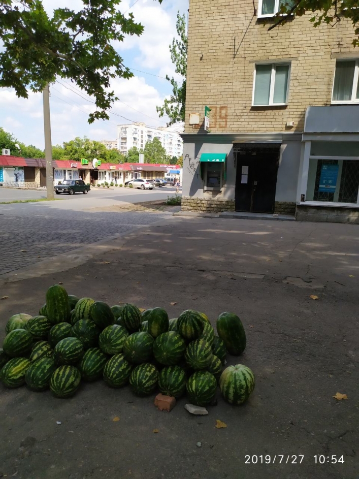 Продавец арбузов из Запорожской области странным образом попытался обхитрить полицию (ФОТО)
