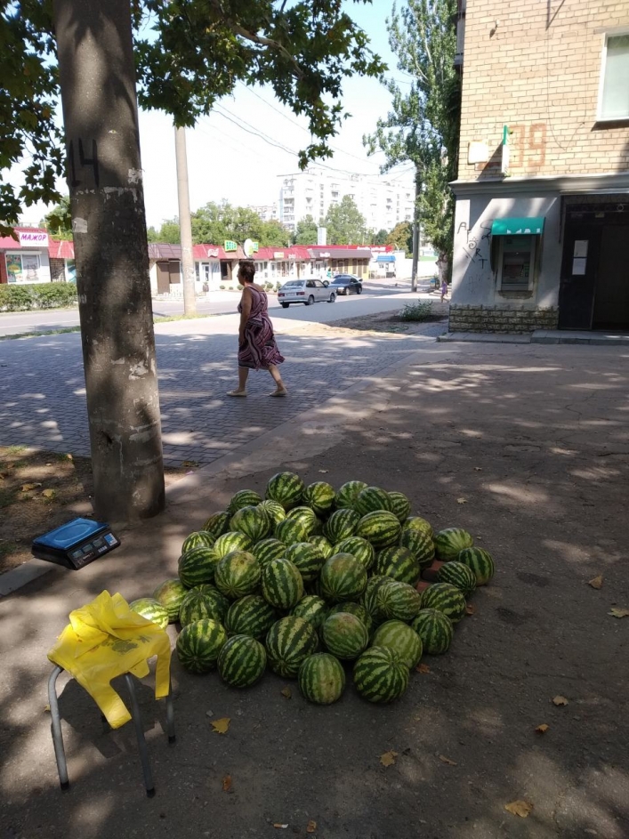 Продавец арбузов из Запорожской области странным образом попытался обхитрить полицию (ФОТО)