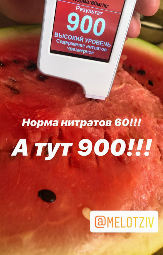 В Запорожской области продают дыни и арбузы с рекордным содержанием нитратов (ФОТО)