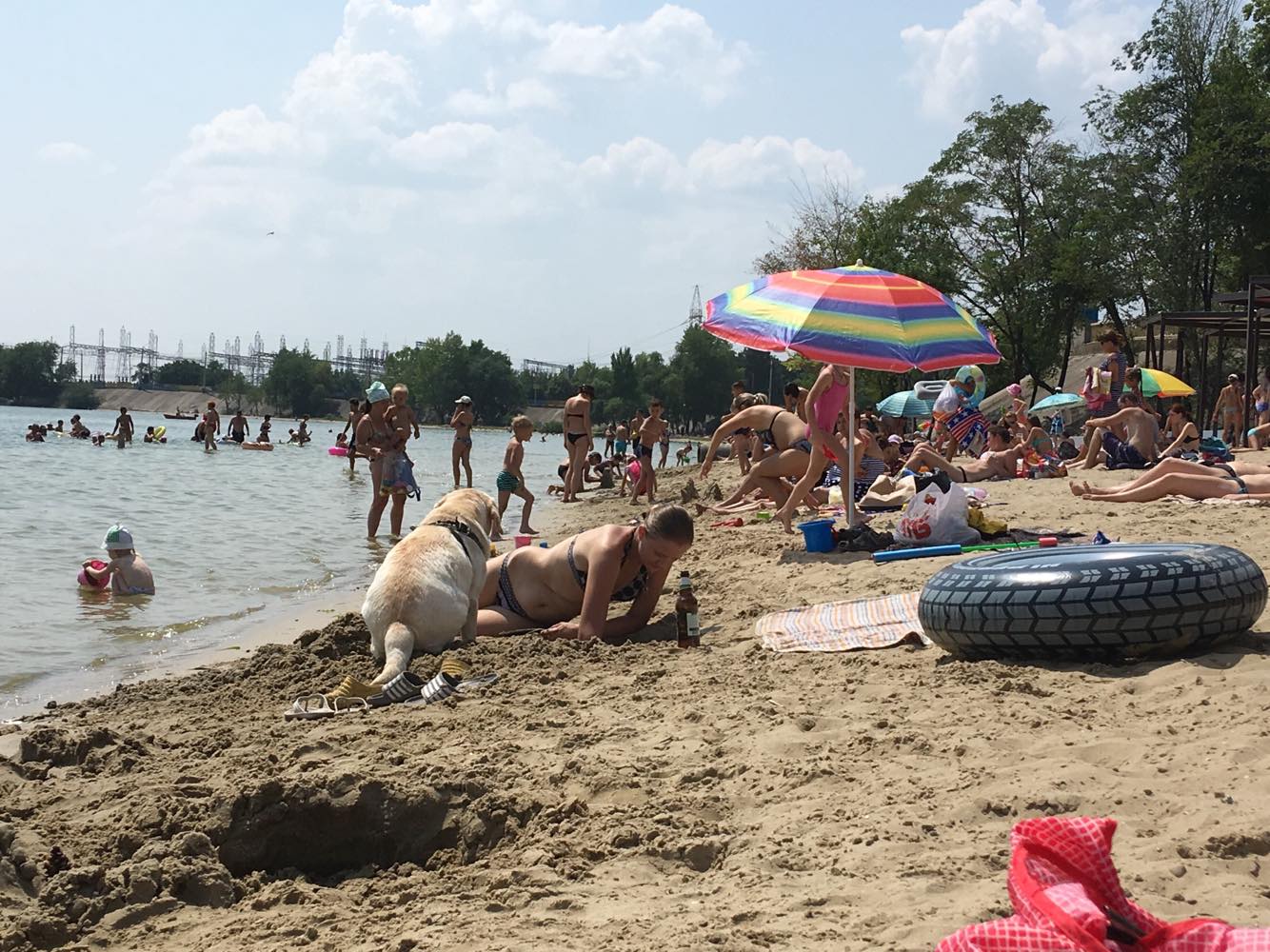 Собачники из Запорожья не стесняются выгуливать больших питомцев на пляжах (ФОТО)
