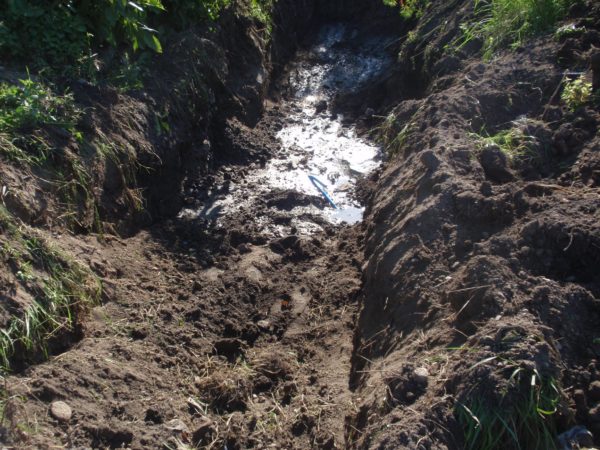Хотели как лучше, получилось как всегда: в Запорожской области горе-работники повредили водопровод (ФОТО)