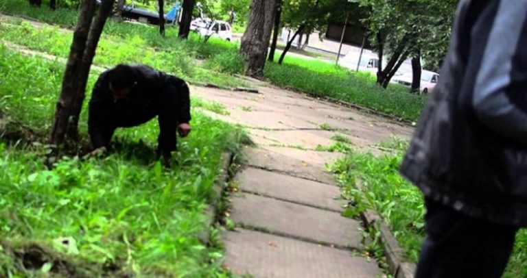 Запорожские любители «закладок» совсем потеряли страх (ВИДЕО)