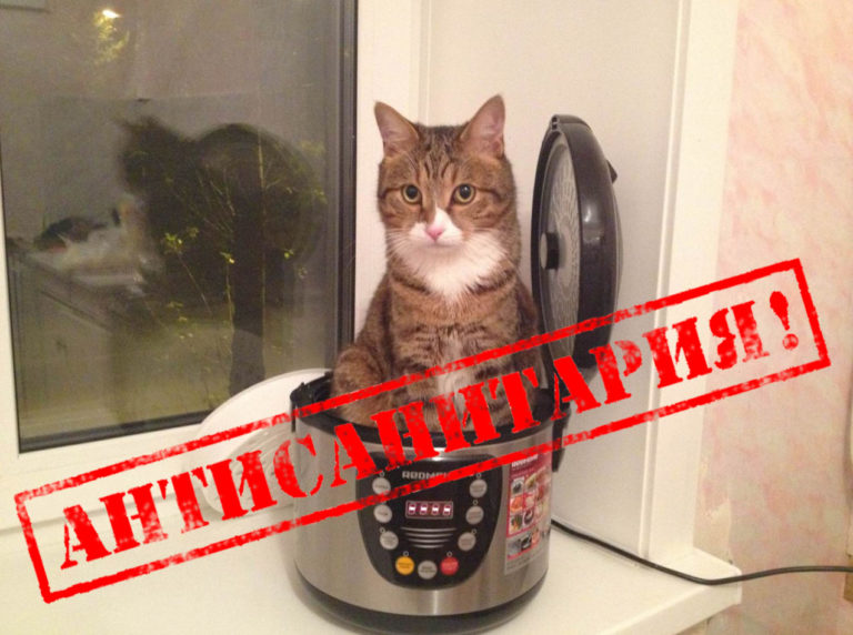 Антисанитария в запорожской детской больнице приобретает новые масштабы (ВИДЕО)