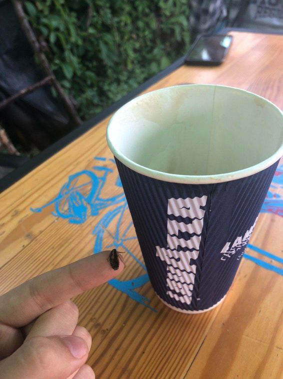 В Запорожье девушке продали стакан капучино с неприятным сюрпризом на дне (ФОТО)