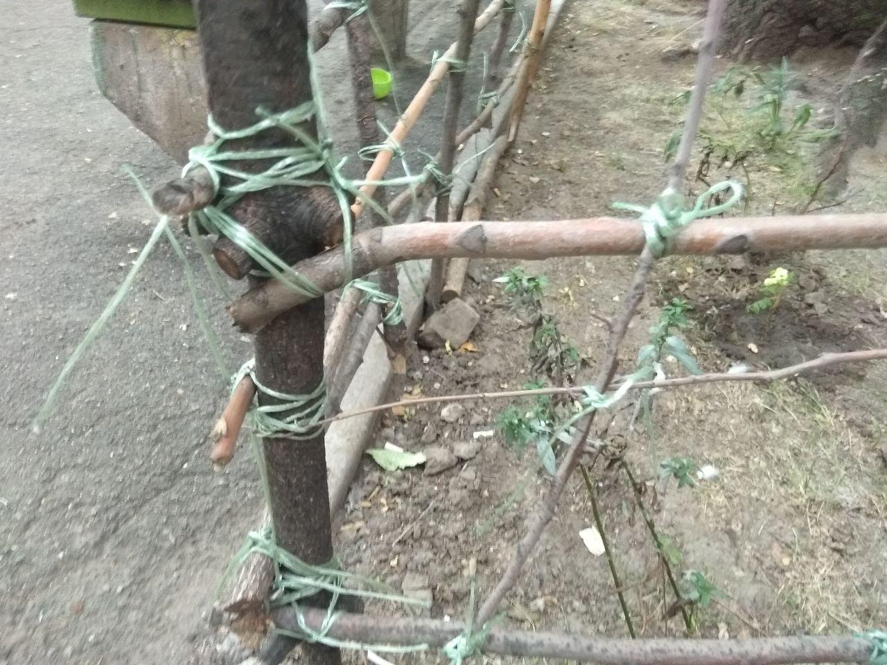 В центре Запорожья продолжают лежать поваленные деревья (ВИДЕО)