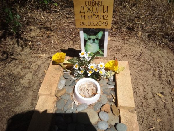 В Запорожье кремируют животных в несуществующем крематории (ФОТО, ВИДЕО)