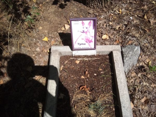 В Запорожье кремируют животных в несуществующем крематории (ФОТО, ВИДЕО)