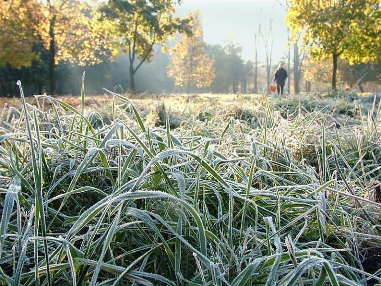 Время утепляться: в Запорожскую область идут морозы