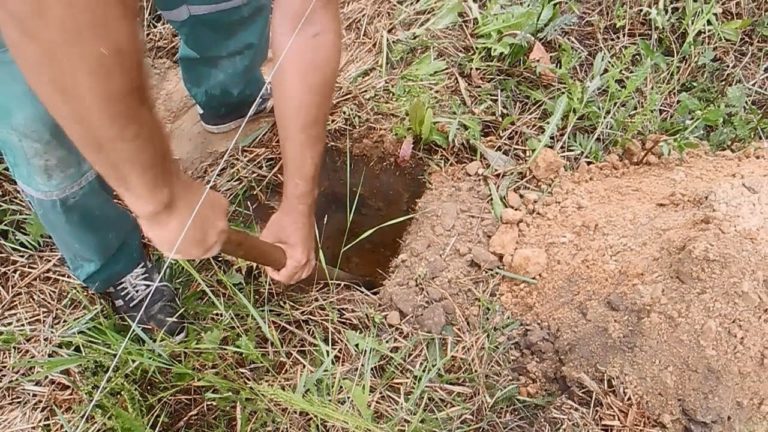 Под Запорожьем произошла трагедия: ради автомобиля два парня пошли на убийство