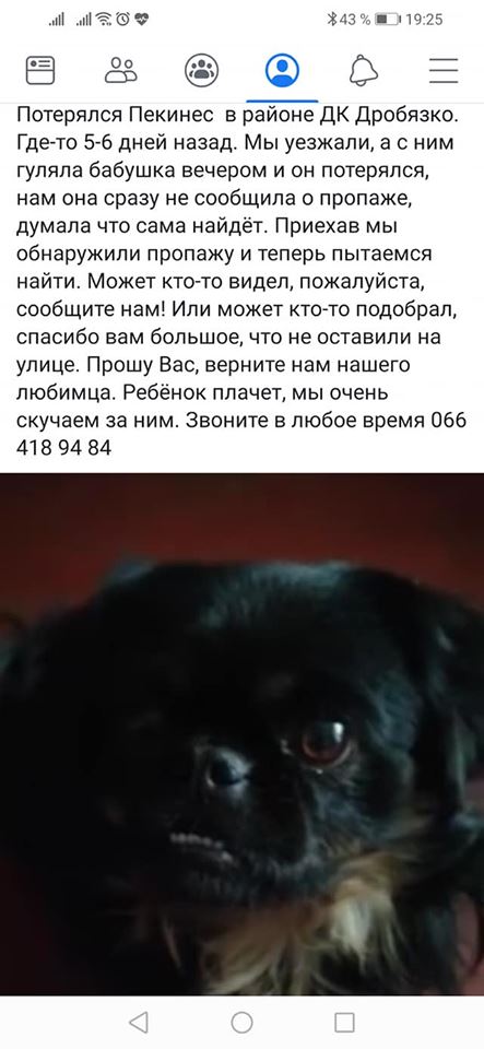 Ультиматум за собаку: в Запорожье начали делать бизнес на потерявшихся животных (ФОТО, ВИДЕО)