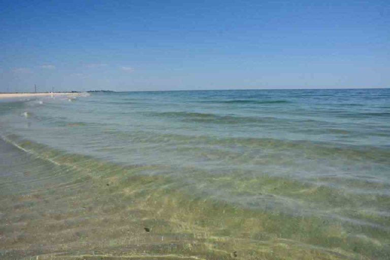 На запорожском курорте туристы купаются в холодной воде (ФОТО)