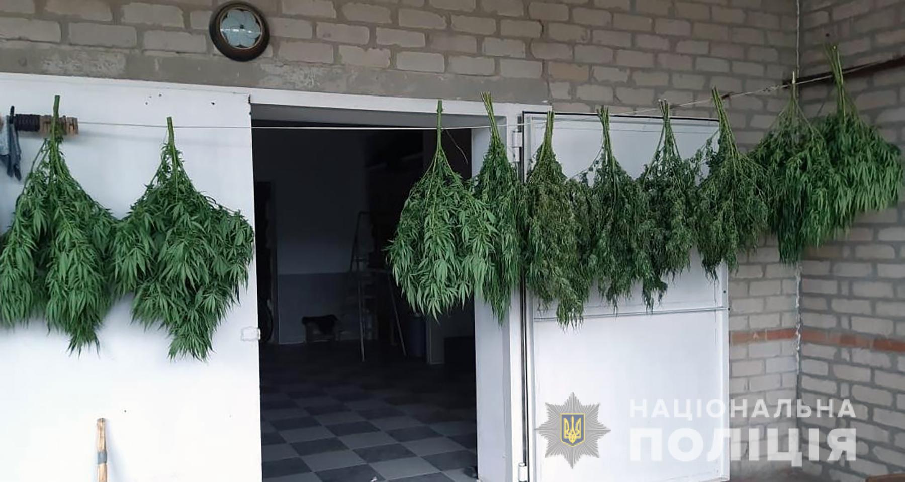 В Запорожской области полиция обнаружила "весёлый" огород (ФОТО)
