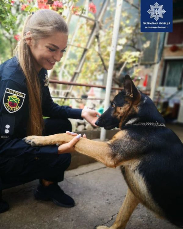 Запорожские патрульные показали, как дружат с собаками (ФОТО)