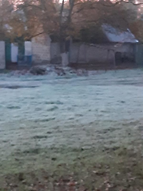 Морозное утро в Запорожье: замерз грунт и стёкла (ФОТО)