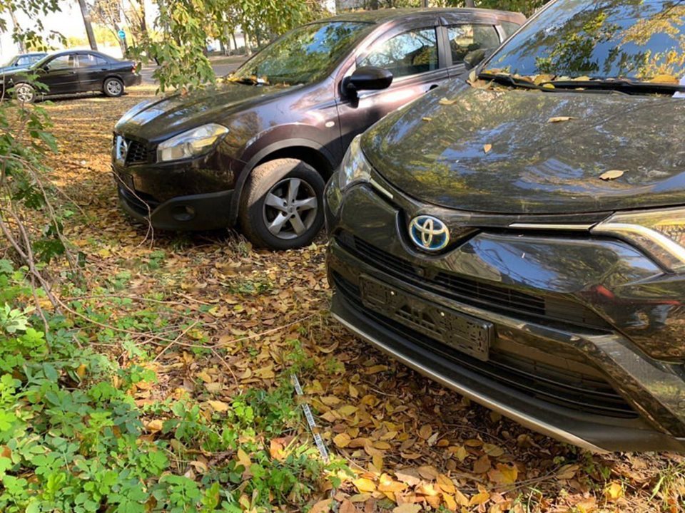 В Запорожье массово украли номера с машин: полиция от дела "отказалась" (ФОТО)