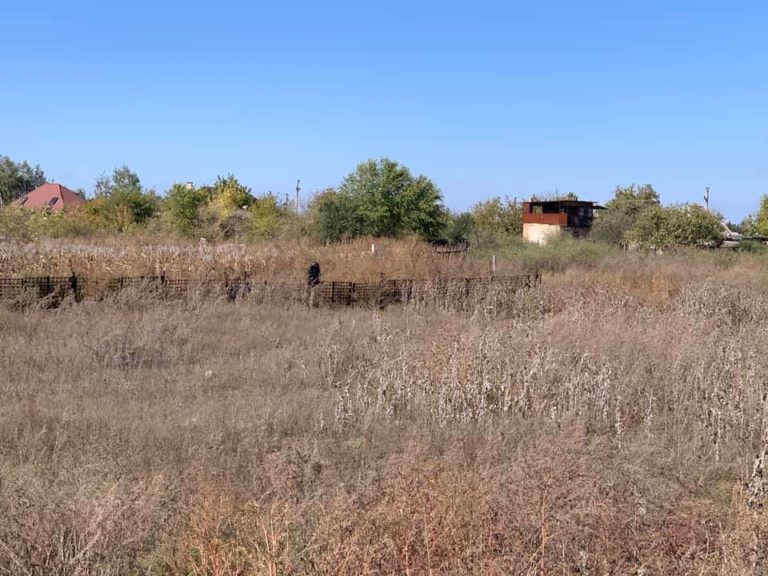 Необъяснимо, но факт: в запорожских полях запечатлели загадочное существо (ФОТО)