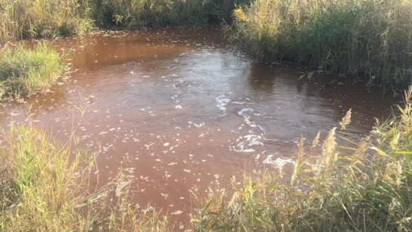 В Запорожской области покраснела река (ФОТО)