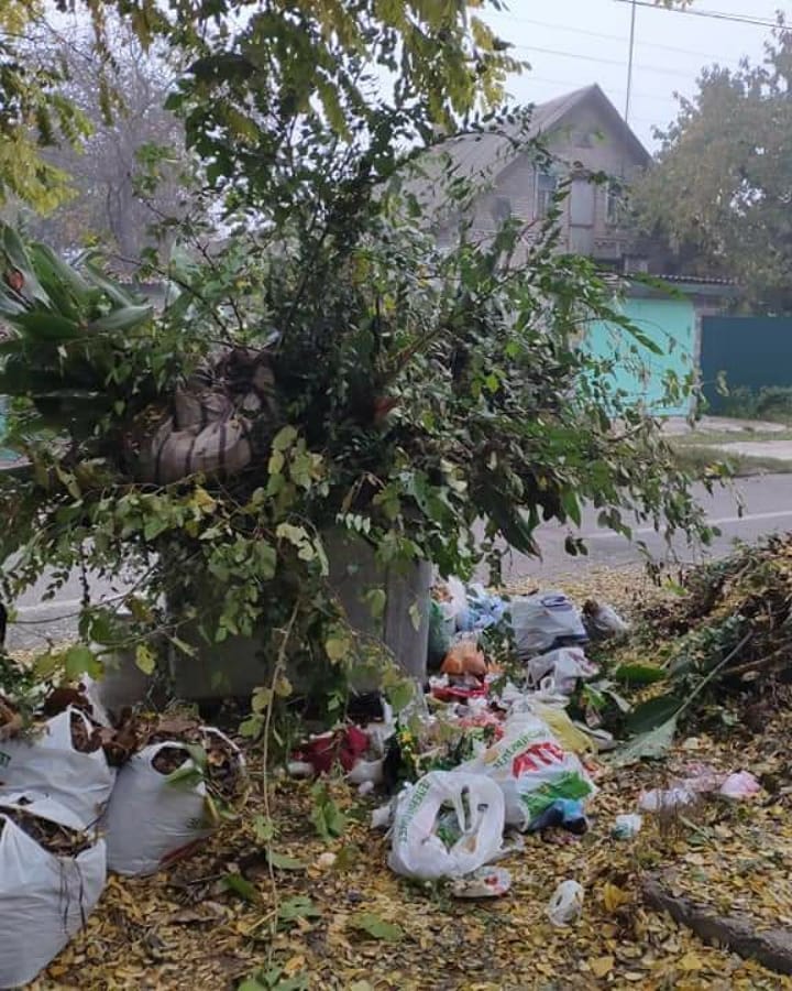 Жители частного сектора в Запорожье используют мусорные баки не по назначению (ФОТО)
