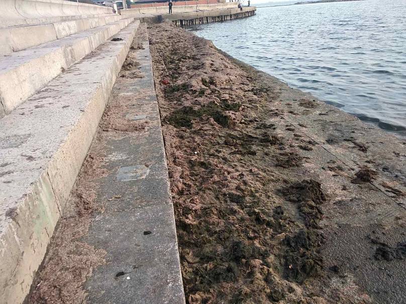 Вонь и грязь: пляжи в курортном городке под Запорожьем пришли в упадок (ФОТО)