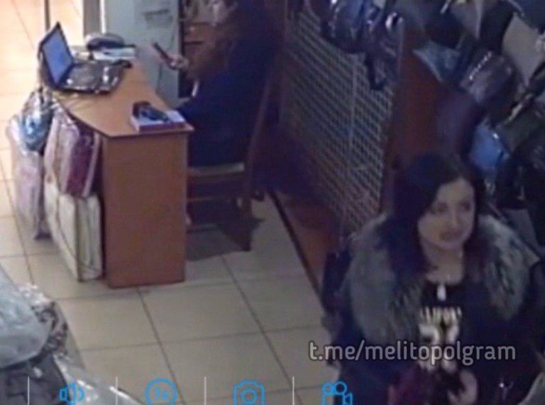 В Запорожской области камера видеонаблюдения запечатлела хитрую воровку (ВИДЕО)