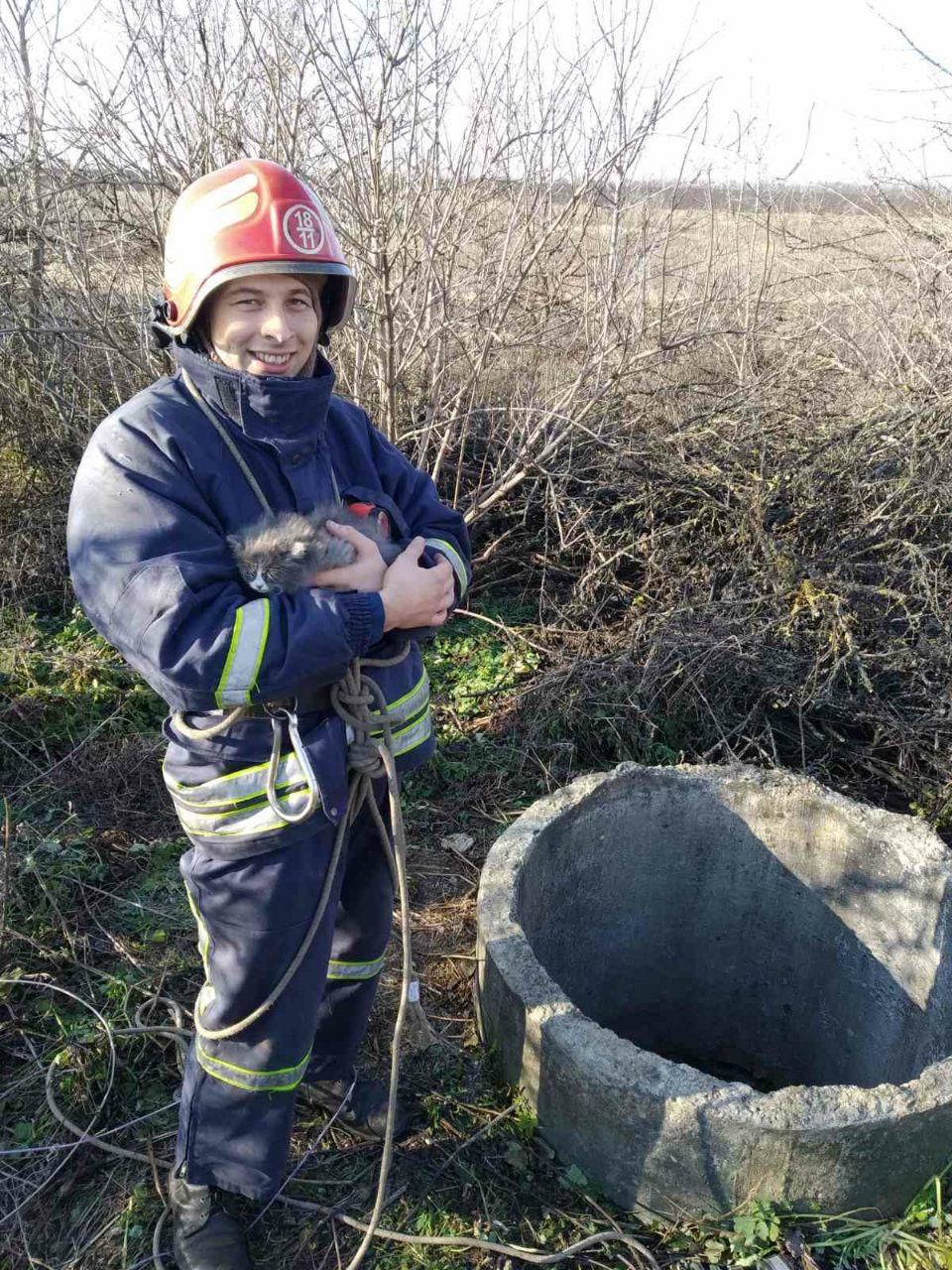 Не пожарами едиными: как спасатели в Запорожской области котят спасали (ФОТО)