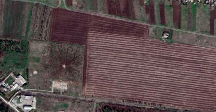 В Запорожской области заметили таинственные круги на поле (ФОТО)