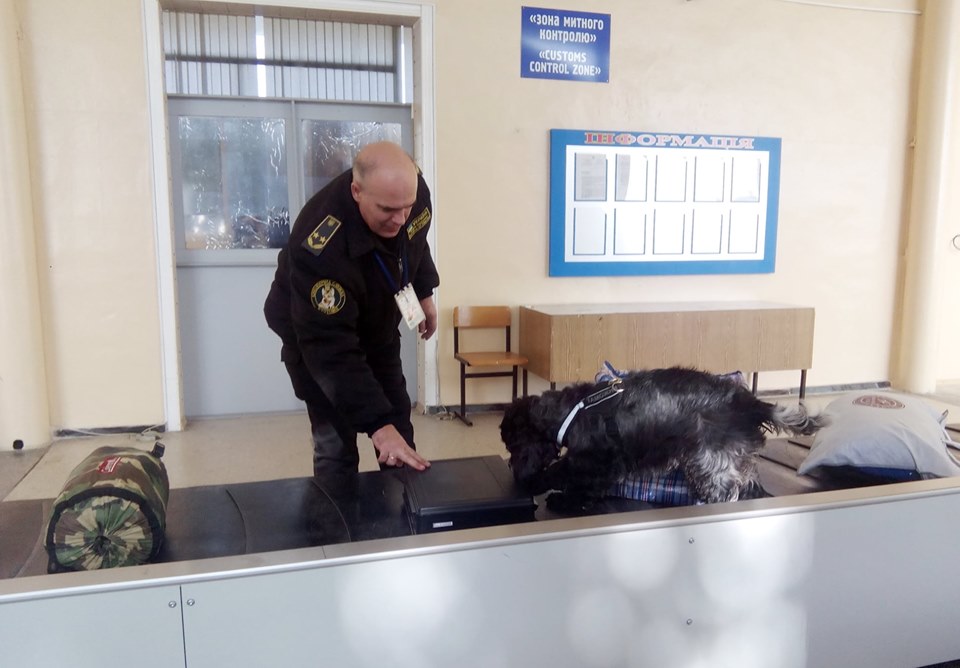 Наравне с людьми: в Запорожье несёт службу уникальный пёс (ФОТО)